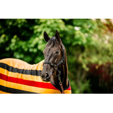 Licol et longe Horseware Newmarket Licol et longe Horseware Newmarket