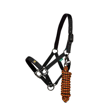 Licol et longe Horseware Newmarket Licol et longe Horseware Newmarket