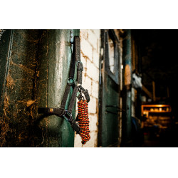 Licol et longe Horseware Newmarket Or blanc