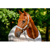 Halster en touw Horseware Newmarket Houtskool witney Grijs