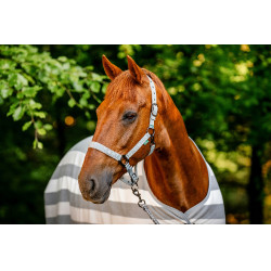 Licol et longe Horseware Newmarket Charbon de bois witney Gris