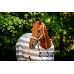 Licol et longe Horseware Newmarket Charbon de bois witney Gris