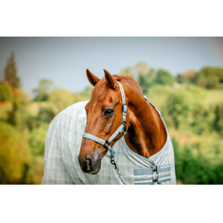 Licol et longe Horseware Newmarket Charbon de bois witney Gris