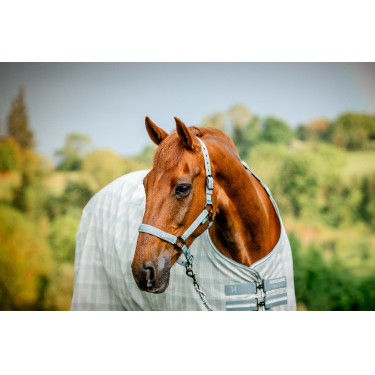 Licol et longe Horseware Newmarket Charbon de bois witney Gris
