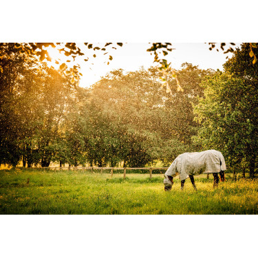 Masques anti-mouches Horseware Newmarket Charbon de bois witney Gris