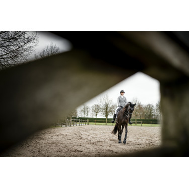 Broek Horseware AA Aria middelhoge taille full seat Broek Horseware AA Aria middelhoge taille full seat
