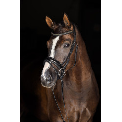 Muserolle Covalliero Laque noir