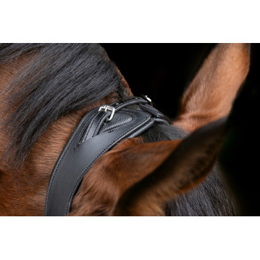 Anatomisch hoofdstel Covalliero Zwart