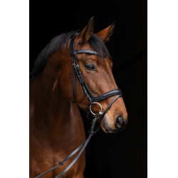 Anatomisch hoofdstel Covalliero Zwart