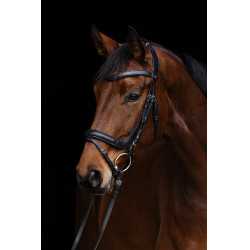 Anatomisch hoofdstel Covalliero Zwart