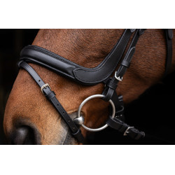 Anatomisch hoofdstel Covalliero Zwart