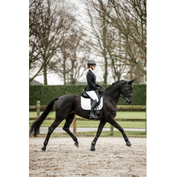 Wedstrijdjas Horseware AA Platinium Motion Flex Pro Zwart Wedstrijdjas Horseware AA Platinium Motion Flex Pro Zwart