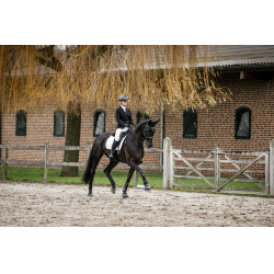 Veste de concours Horseware AA Platinium Motion Flex Pro Noir Veste de concours Horseware AA Platinium Motion Flex Pro Noir