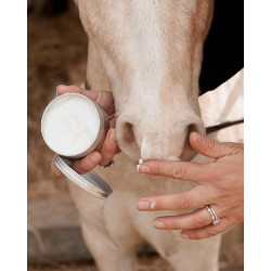 Sunblock Grooming Deluxe by Kentucky Sunblock Grooming Deluxe by Kentucky