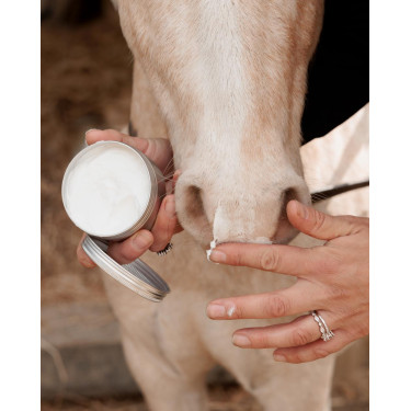 Sunblock Grooming Deluxe van Kentucky Sunblock Grooming Deluxe van Kentucky