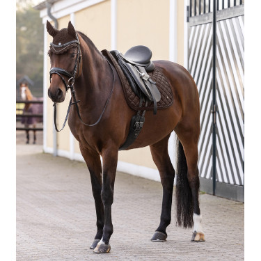 Zadeldoek Waldhausen Nepal Bruin