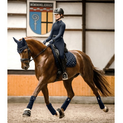 Vliegenkap Nepal Waldhausen Nachtblauw