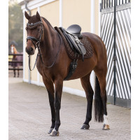 Vliegenkap Nepal Waldhausen Bruin