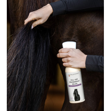Spray voor vacht en manen Waldhausen Deluxe Spray voor vacht en manen Waldhausen Deluxe