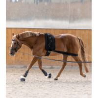 Bandage corporel Waldhausen arrière-main Noir Bandage corporel Waldhausen arrière-main Noir