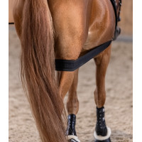 Waldhausen achterhands lichaamsbandage Zwart Waldhausen achterhands lichaamsbandage Zwart