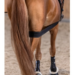 Waldhausen achterhands lichaamsbandage Zwart Waldhausen achterhands lichaamsbandage Zwart