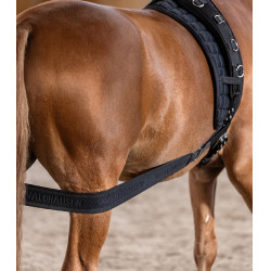 Waldhausen achterhands lichaamsbandage Zwart Waldhausen achterhands lichaamsbandage Zwart