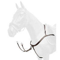 Waldhausen X-Line borsttuig met lange brug Bruin Waldhausen X-Line borsttuig met lange brug Bruin