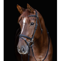 Bridon Waldhausen X-Line Work muserolle combinée Noir Bridon Waldhausen X-Line Work muserolle combinée Noir