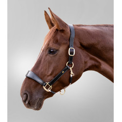 Licol en cuir Waldhausen S-Line Royal Noir Licol en cuir Waldhausen S-Line Royal Noir