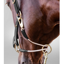 Licol en cuir Waldhausen S-Line Royal Noir Licol en cuir Waldhausen S-Line Royal Noir