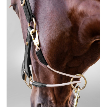 Licol en cuir Waldhausen S-Line Royal Licol en cuir Waldhausen S-Line Royal