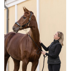 Lederen halster Waldhausen S-Line Royal Zwart