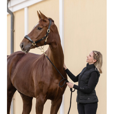 Licol en cuir Waldhausen S-Line Royal Licol en cuir Waldhausen S-Line Royal