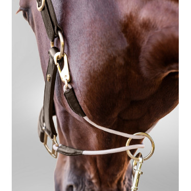 Lederen halster Waldhausen S-Line Royal Bruin
