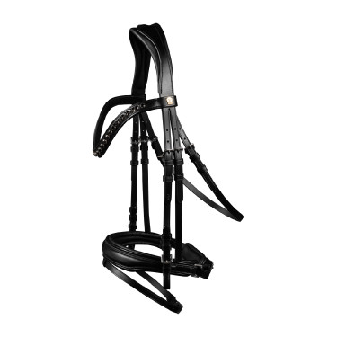Waldhausen S-Line Blackshine gelakte hoofdstel met gecombineerde pull back neusriem Zwart Waldhausen S-Line Blackshine gelakte hoofdstel met gecombineerde pull back neusriem Zwart