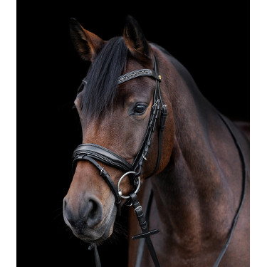 Bridon verni Waldhausen S-Line Blackshine muserolle combinée pull back Bridon verni Waldhausen S-Line Blackshine muserolle combinée pull back