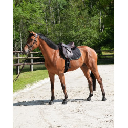 Tapijt GEM Love Zwart / groen