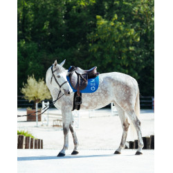 Tapis GEM Ten Bleu pétrole Tapis GEM Ten Bleu pétrole