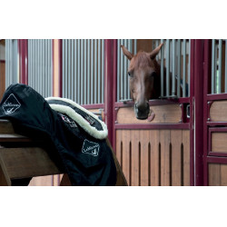 Sangle de dressage Web LeMieux Merino Noir