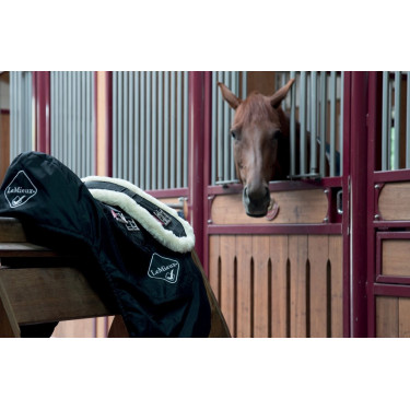 LeMieux Merino Web Trainingssingel LeMieux Merino Web Trainingssingel