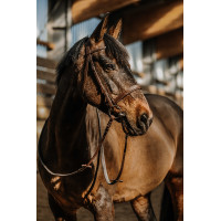 Bridon Norton Hunter comfy Marron
