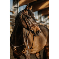Bridon Norton Hunter comfy Marron