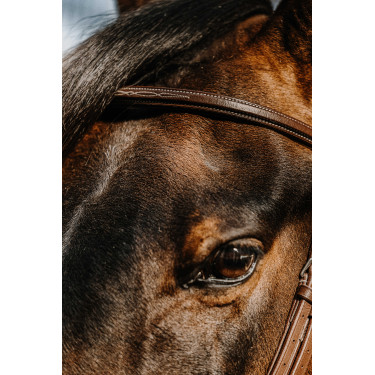 Norton Hunter comfortabele hoofdstel Norton Hunter comfortabele hoofdstel