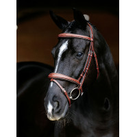 Bridon combiné LeMieux Competition Chestnut Marron