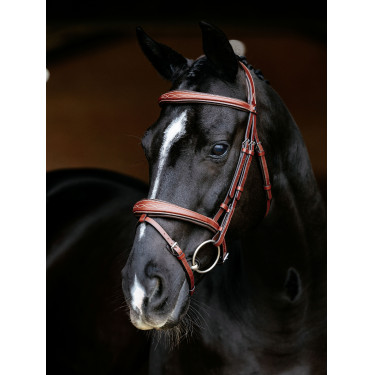 Bridon combiné LeMieux Competition Chestnut Marron