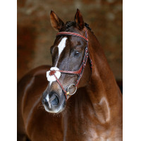 Bridon LeMieux Grackle Chestnut Marron Bridon LeMieux Grackle Chestnut Marron