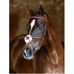 Bridon LeMieux Grackle Kastanjebruin