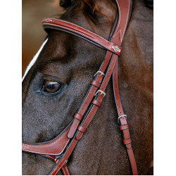 Bridon LeMieux Grackle Kastanjebruin