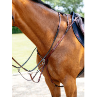 Collier de chasse avec martingale LeMieux Chestnut Marron